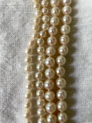 IMG_1225.jpeg IMG_1225.jpeg