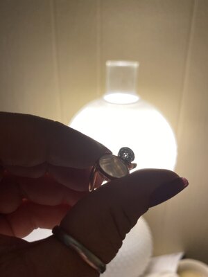 IMG_0879.jpeg