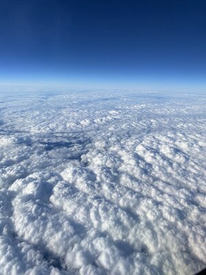 IMG_0571.jpeg