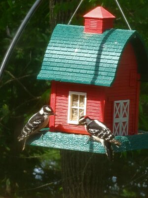 VideoCapture_20240601-105426.jpg