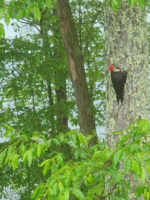 VideoCapture_20240603-152334.jpg