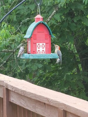 VideoCapture_20240603-153947.jpg