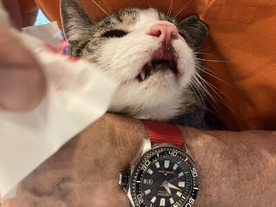 IMG_1803.jpeg