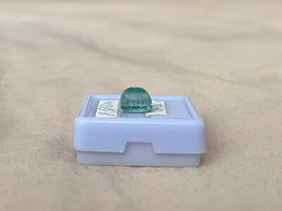 IMG_6086.jpeg