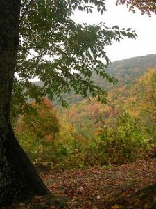 blue ridge.jpg