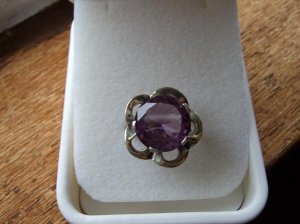 purplebeauty1117.JPG