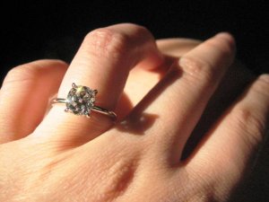 IMG_2831.jpg