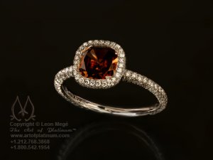 Leon-Mege-Cognac-Halo-x1.jpg