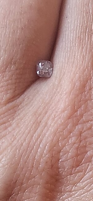 20240615_200523.jpg