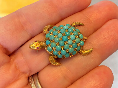 Turquoise Turtle6.jpg