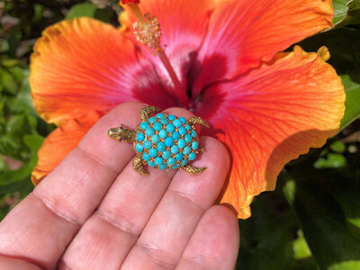 Turquoise Turtle2.jpg