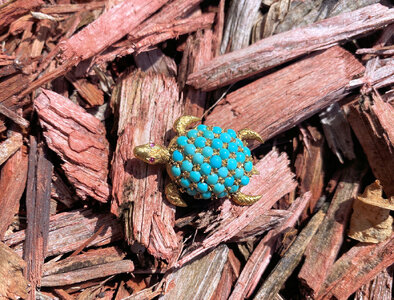 Turquoise Turtle3.jpg