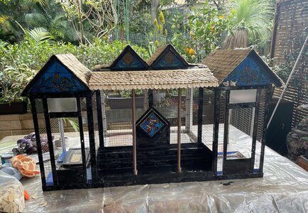 IMG_9783.jpeg