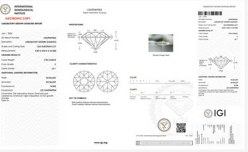 Screen Shot 2024-07-19 at 12.17.43 PM.png