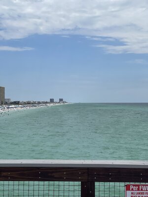 IMG_4916.jpeg