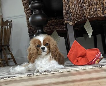 IMG_6438.jpeg