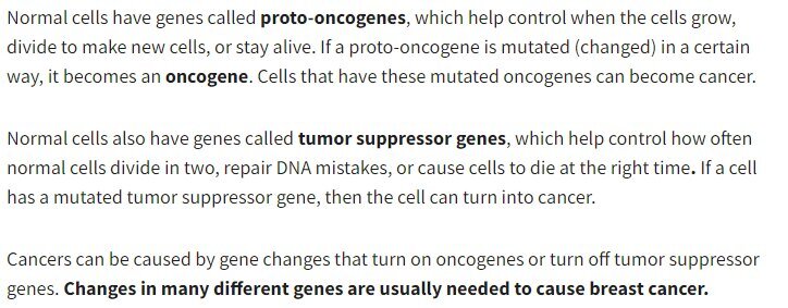 normalcells.jpg
