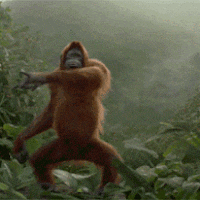 8.gif