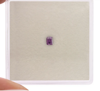 purp (2).png