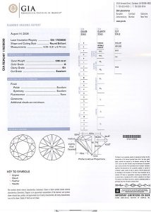 3.06GSI1[1].jpg