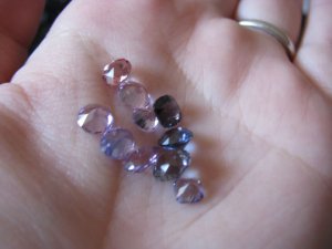 IMG_4498 freke.jpg
