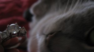whisker2.jpg