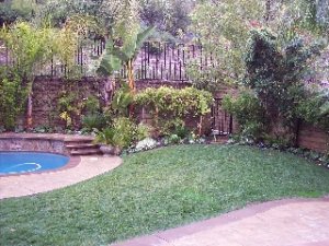 Backyard right side.jpg