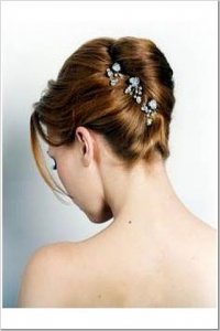 frenchtwistpins.jpg frenchtwistpins.jpg