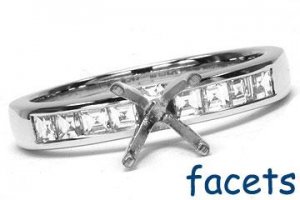 Facets Setting.jpg