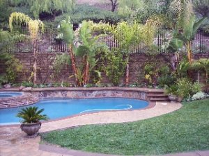 Backyard middle.jpg
