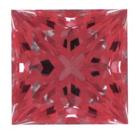 wfd1234.JPG
