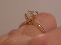 PICT2553small.jpg