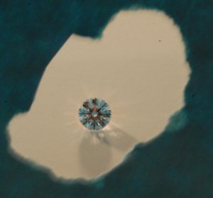 DSC_0042.jpg