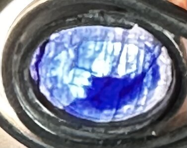 IMG_4580.jpeg