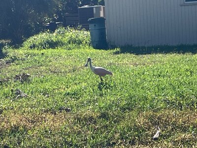 IMG_5402.jpeg