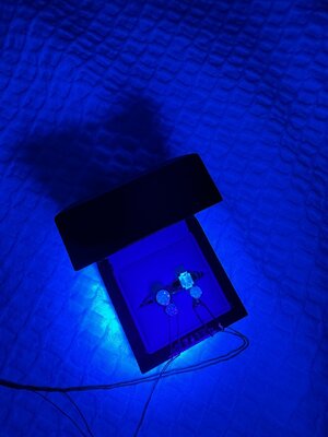IMG_1200.jpeg IMG_1200.jpeg