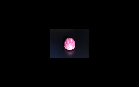 Screenshot_20241022-162011.jpg
