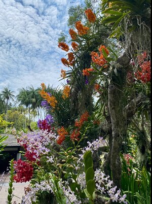 IMG_0272.jpeg
