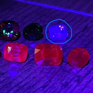 IMG_3843.jpeg