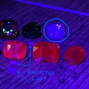 IMG_3843.jpeg
