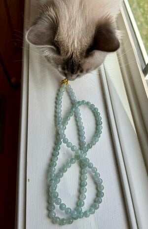 IMG_1693.jpeg