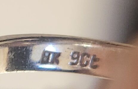 1000003599.jpg