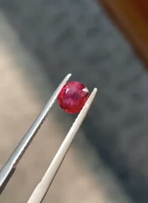 IMG_8004.jpeg