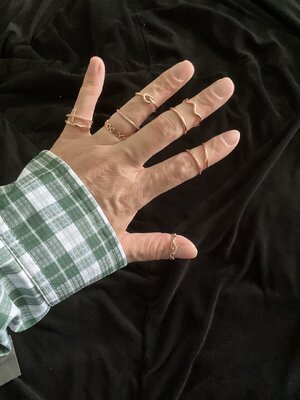 IMG_4554.jpeg IMG_4554.jpeg
