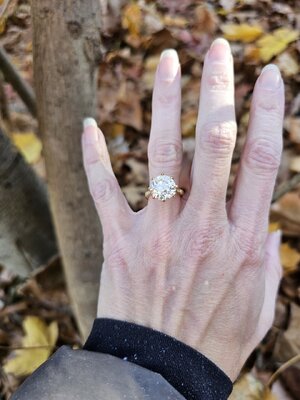 hand20241130_113935.jpg