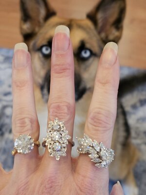 dog.jpg dog.jpg
