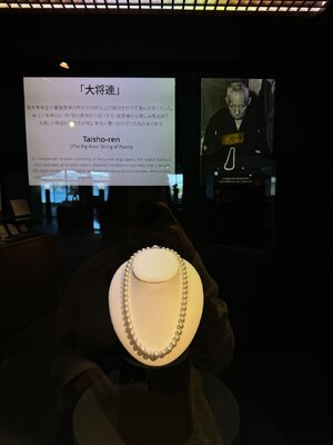 IMG_5856.jpeg IMG_5856.jpeg