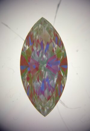 IMG_9283.jpeg IMG_9283.jpeg