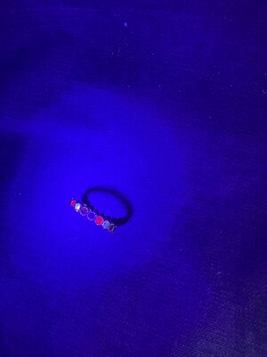 IMG_5911.jpeg
