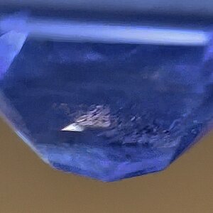 IMG_6868.jpeg